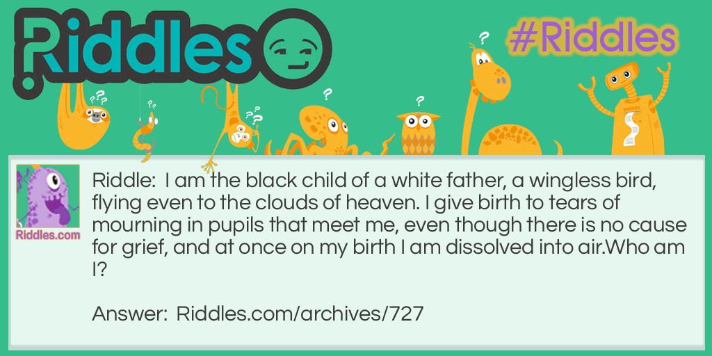 Black Child of a White Father   Who Am I? Riddle Meme.