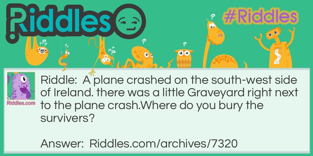 plane crash Riddle Meme.