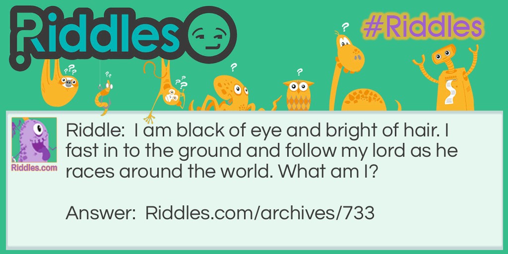 Black of Eye Riddle Meme.