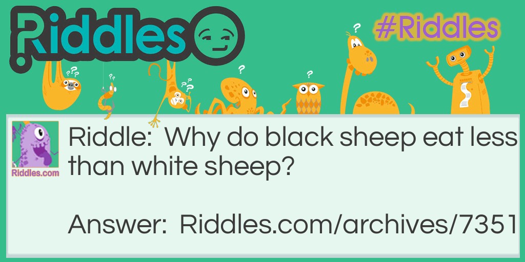 Sheep Riddle Meme.
