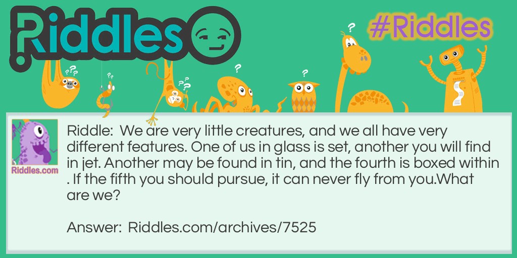 Little Creatures Riddle Meme.