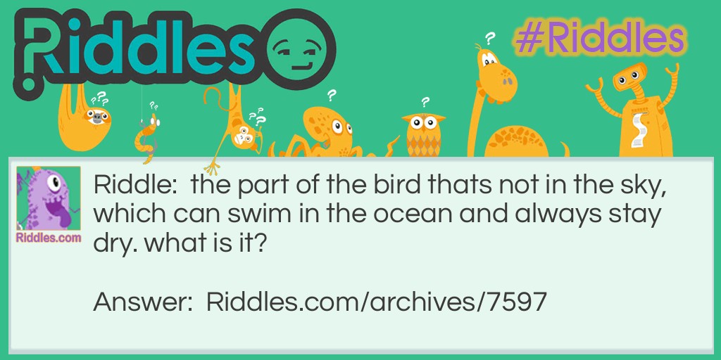 birds!!!!! Riddle Meme.