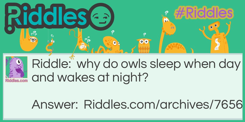 owls Riddle Meme.