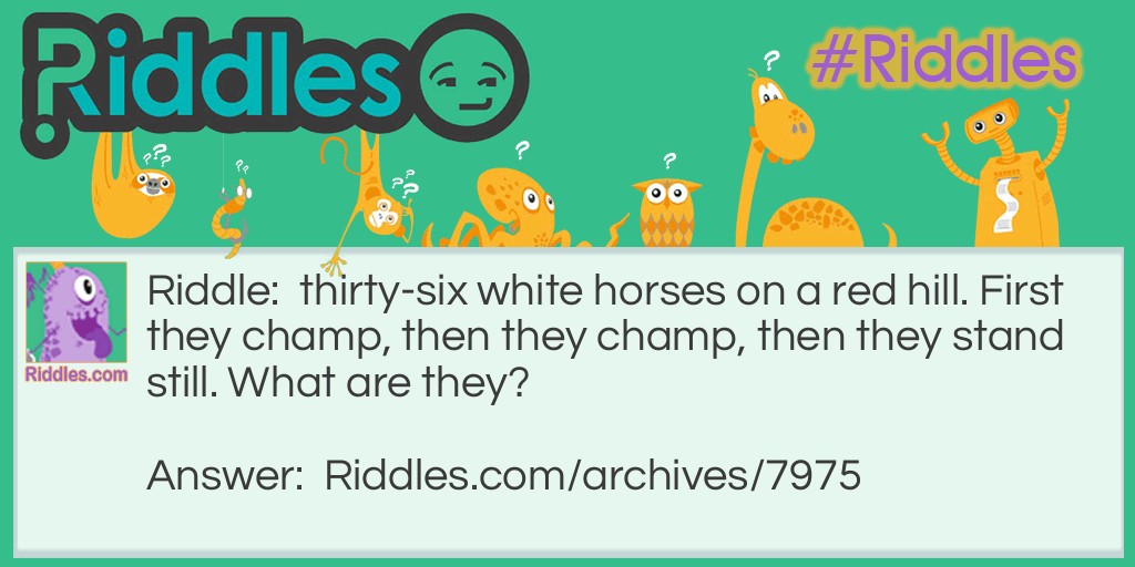 white horses Riddle Meme.