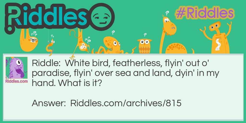 Featherless Bird Riddle Meme.