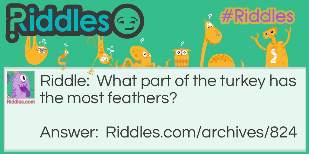 Turkey Feathers Riddle Meme.