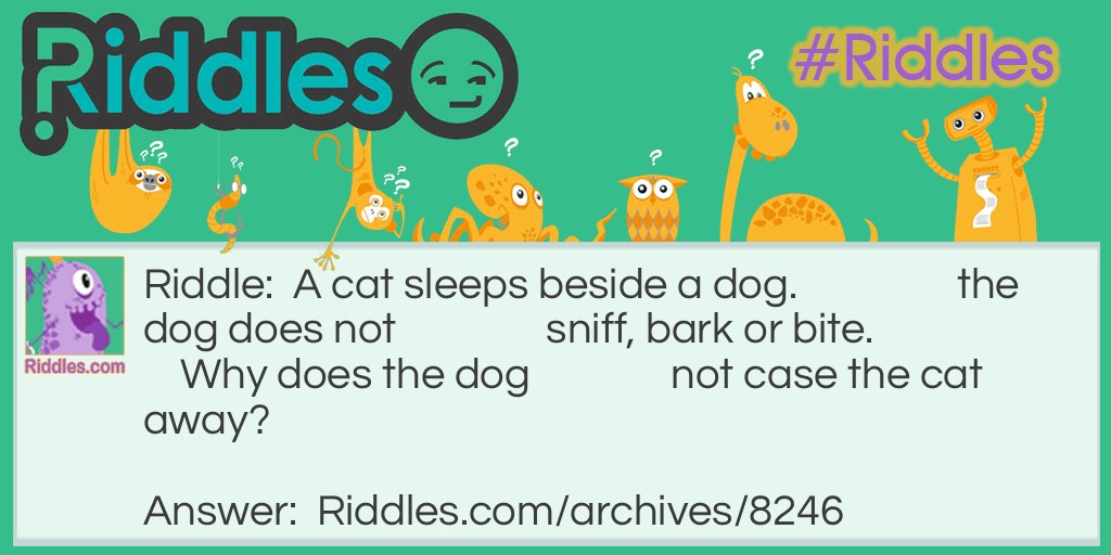Dog and Cat riddle Riddle Meme.
