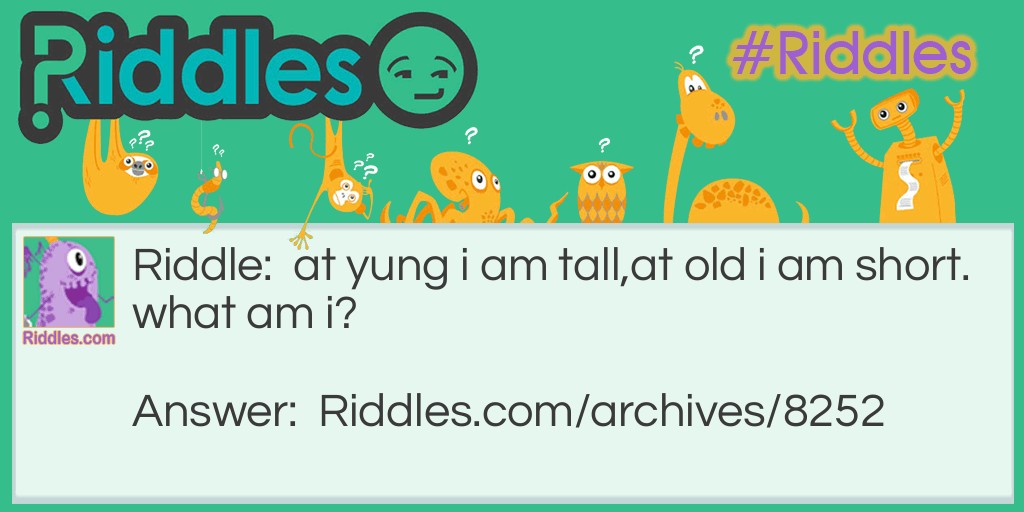 tall&short Riddle Meme.