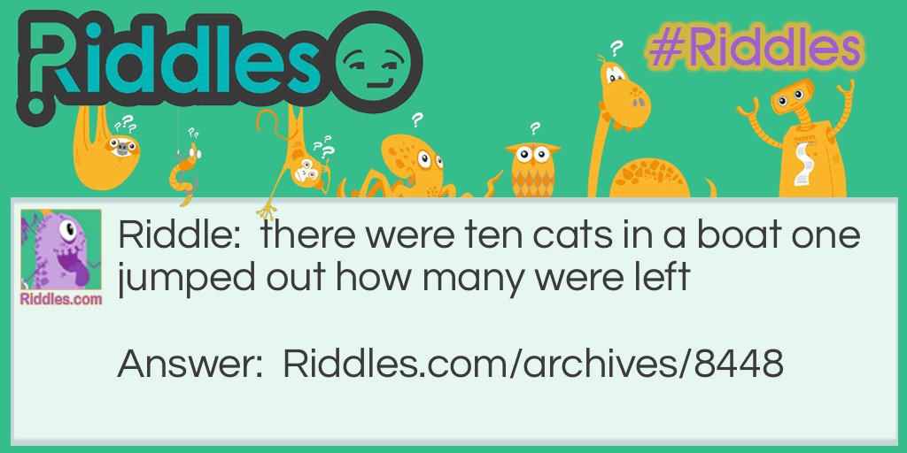 cats Riddle Meme.