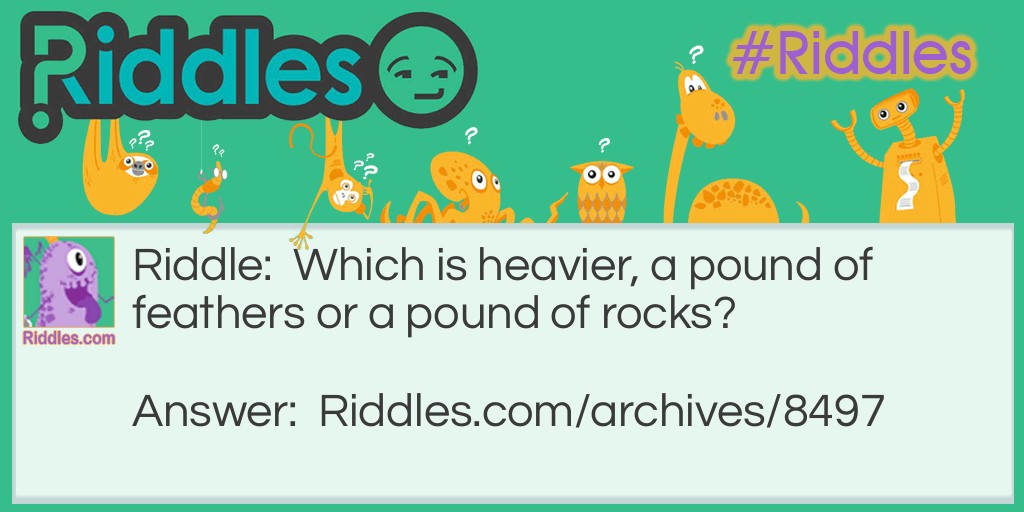 Feathers or rocks Riddle Meme.