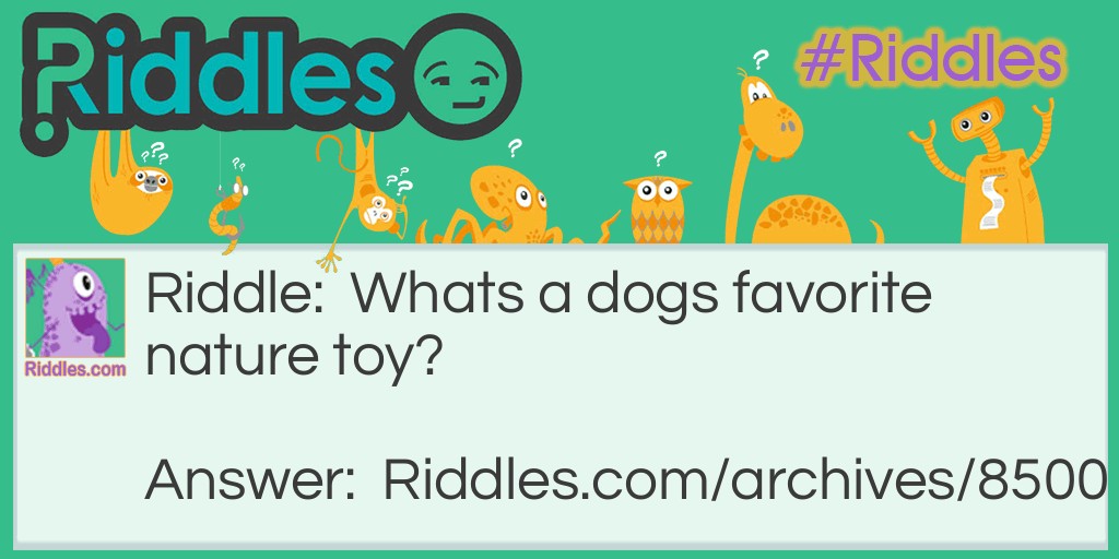 Dogs Favorite Chew toy? Riddle Meme.