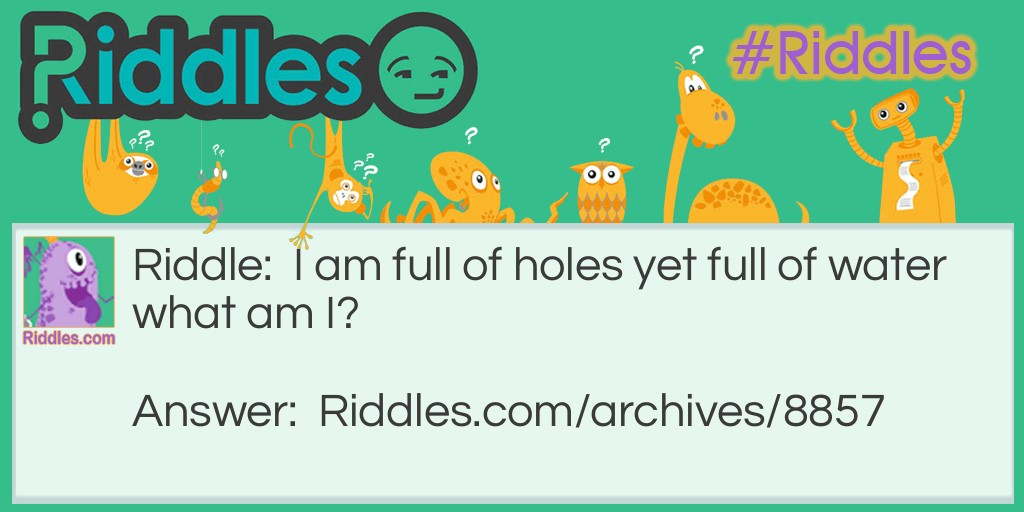 holes water i dunno? Riddle Meme.