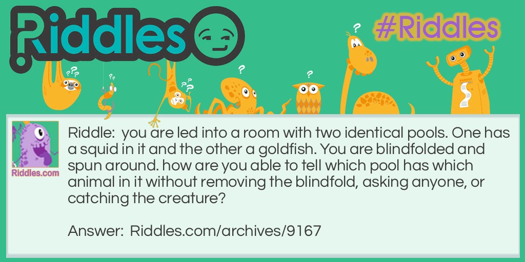 two fish Riddle Meme.