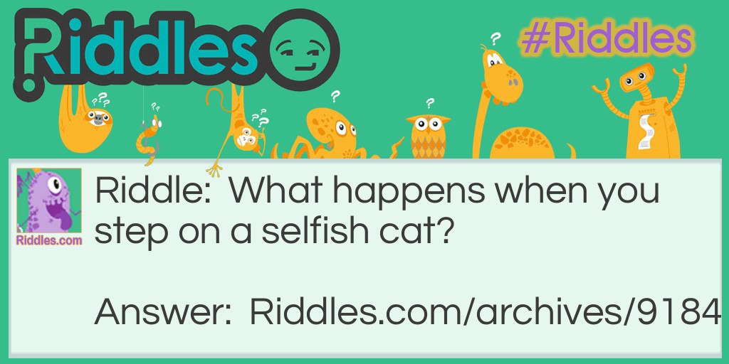 Selfish Cat Riddle Meme.