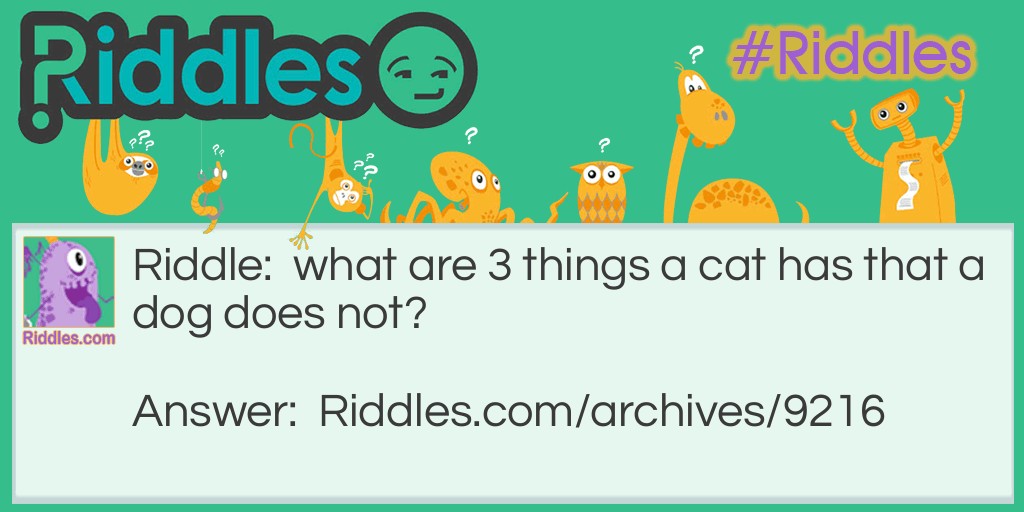 cats and dogs Riddle Meme.