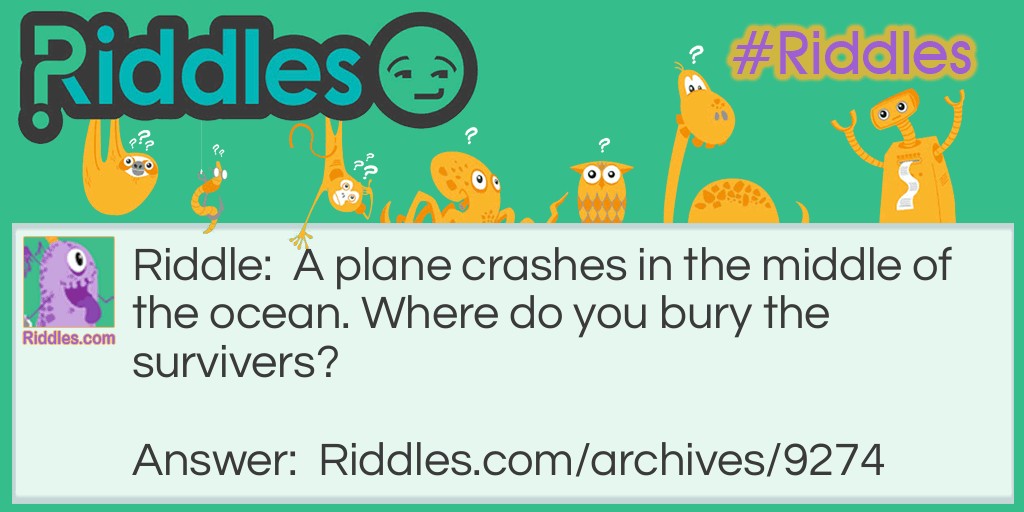 Plane Crash Riddle Meme.