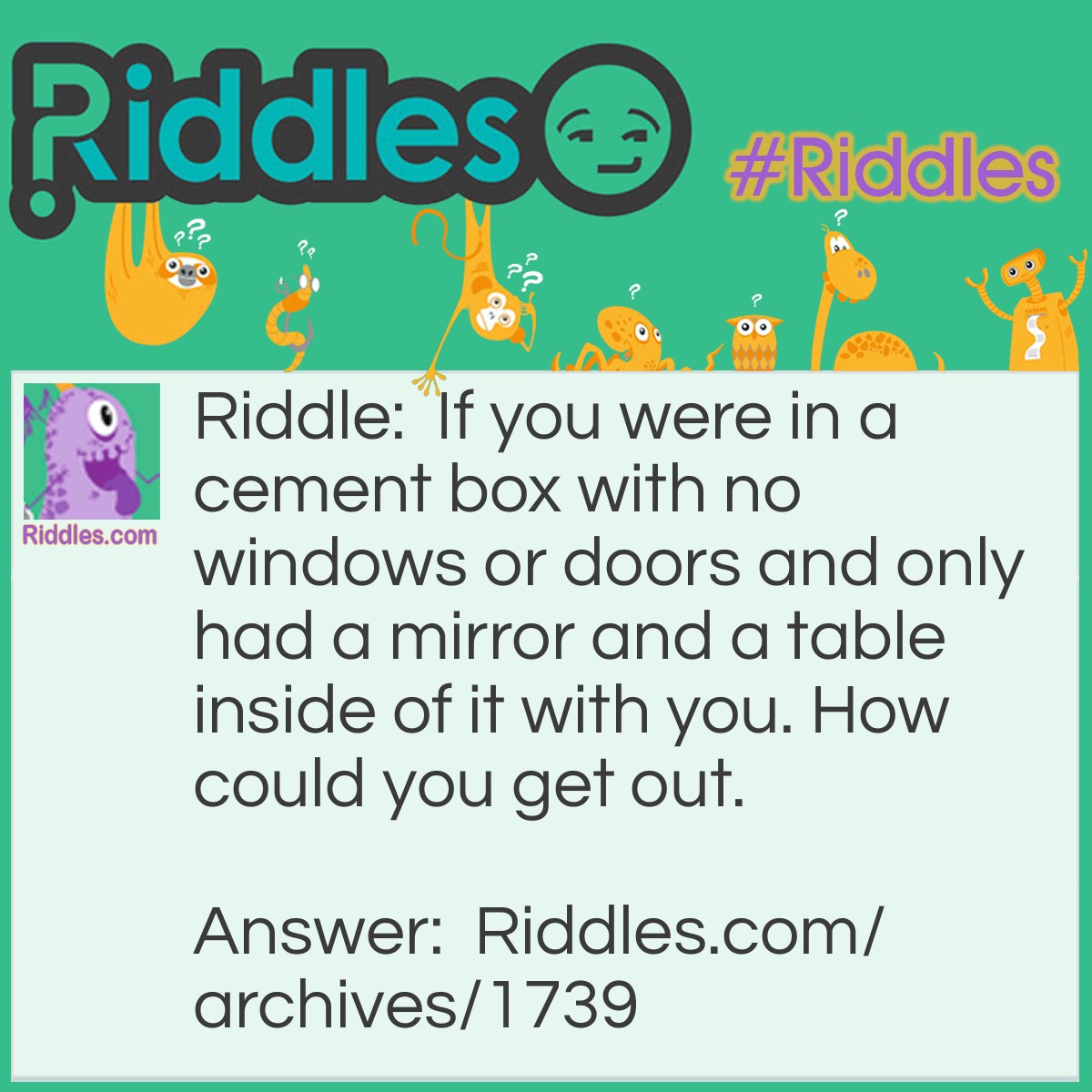 If | Riddles.com