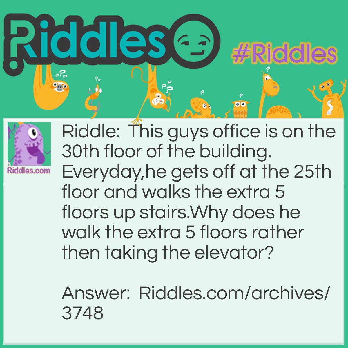 5 More Floors