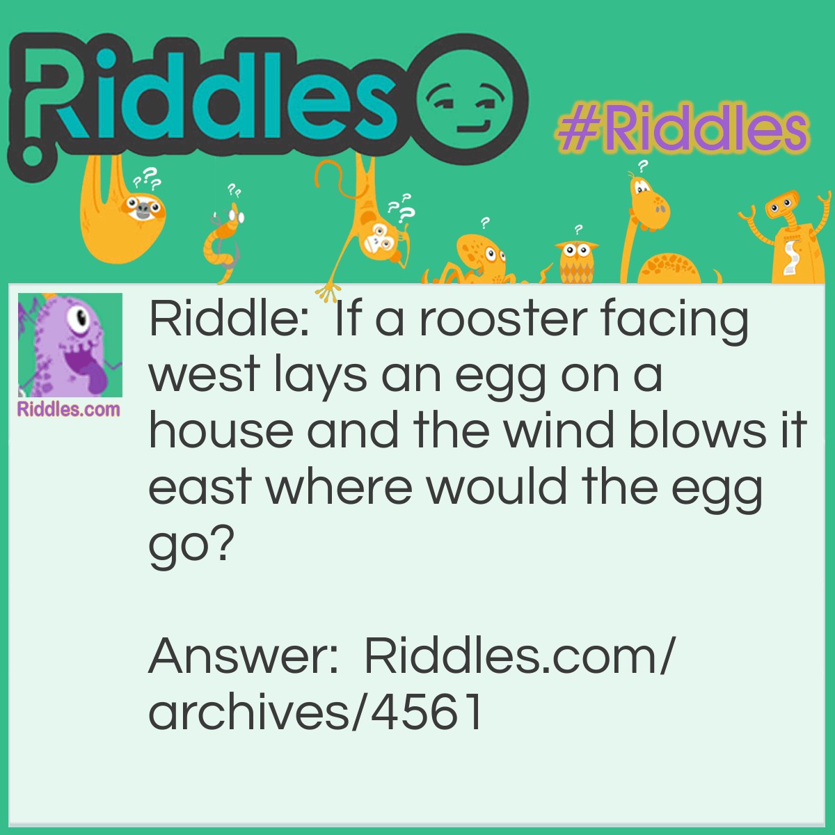 Rooster | Riddles.com