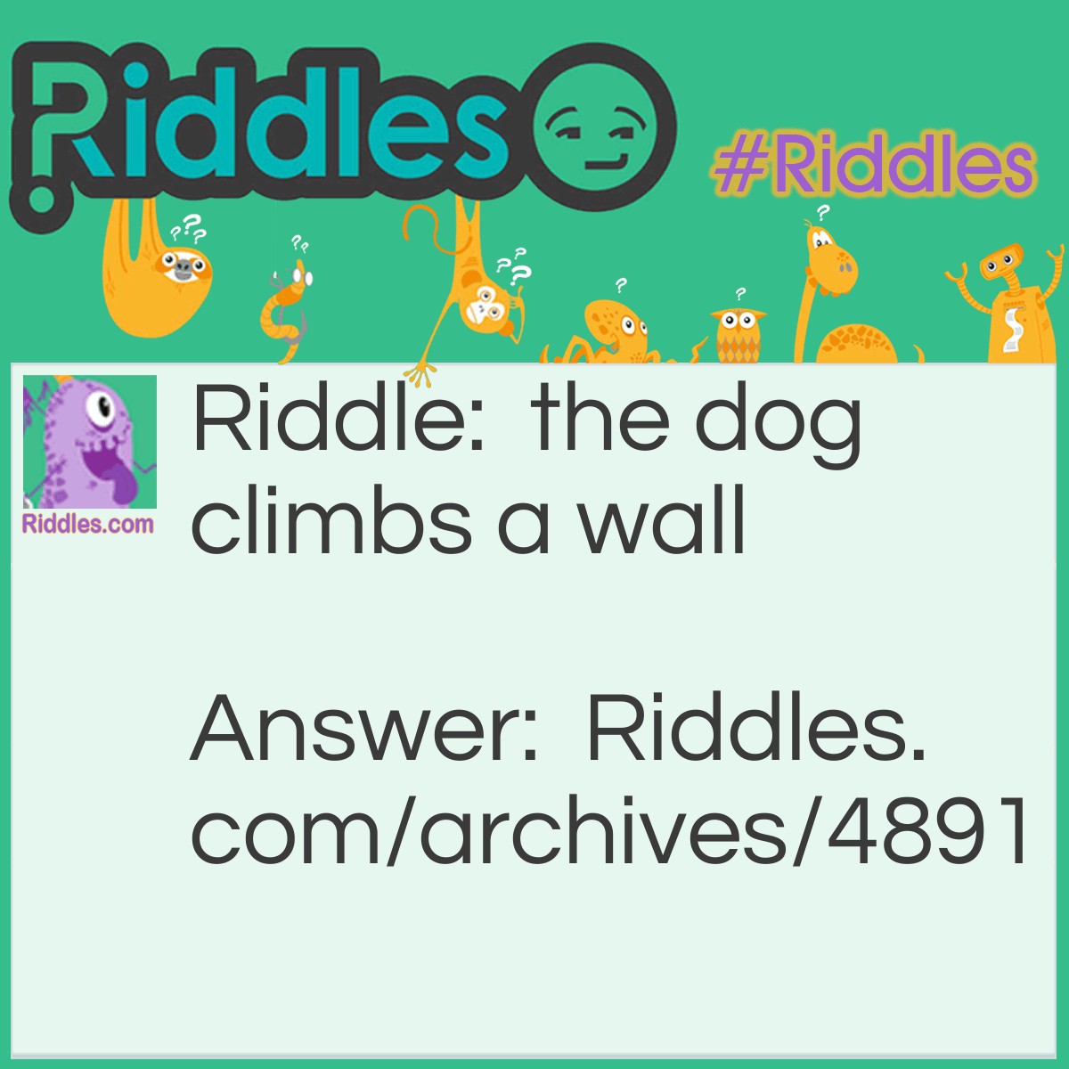 Cool - Riddles.com