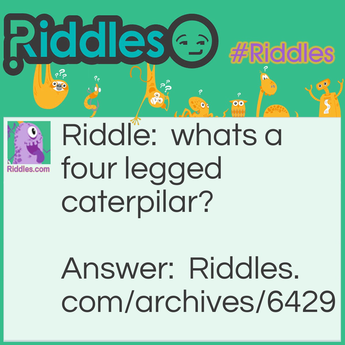 Animals All Over | Riddles.com