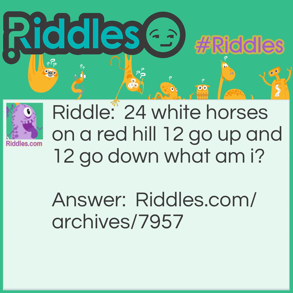 24 White Horses