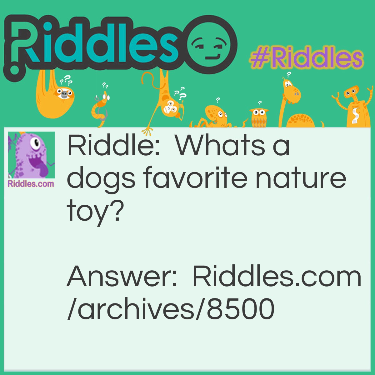 Toy Riddles Dogs Favorite Chew Toy? | Riddles.com