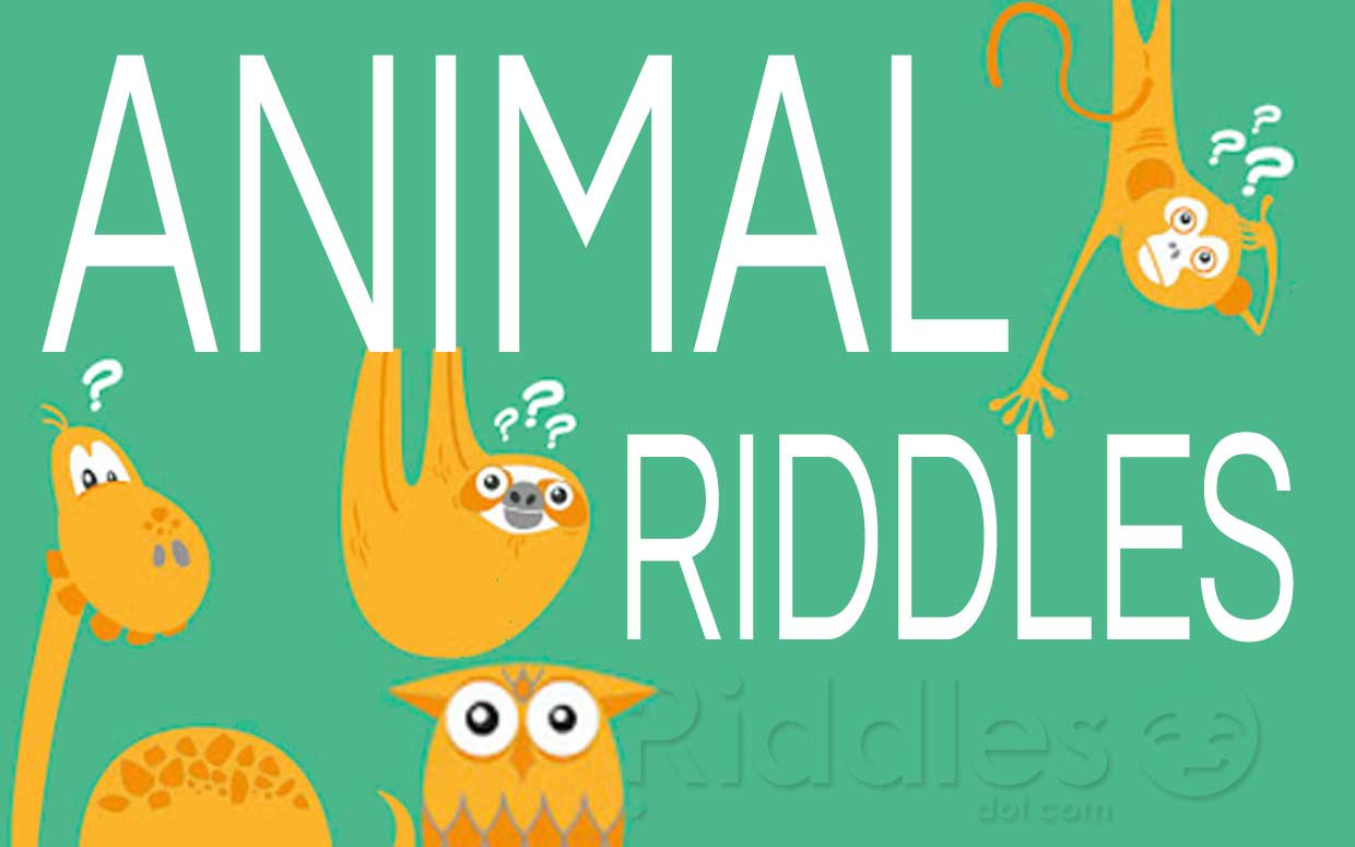 Animal Riddles with Answers