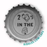 Lucky Beer Bottle Cap #49 series 1 Riddles.com/caps