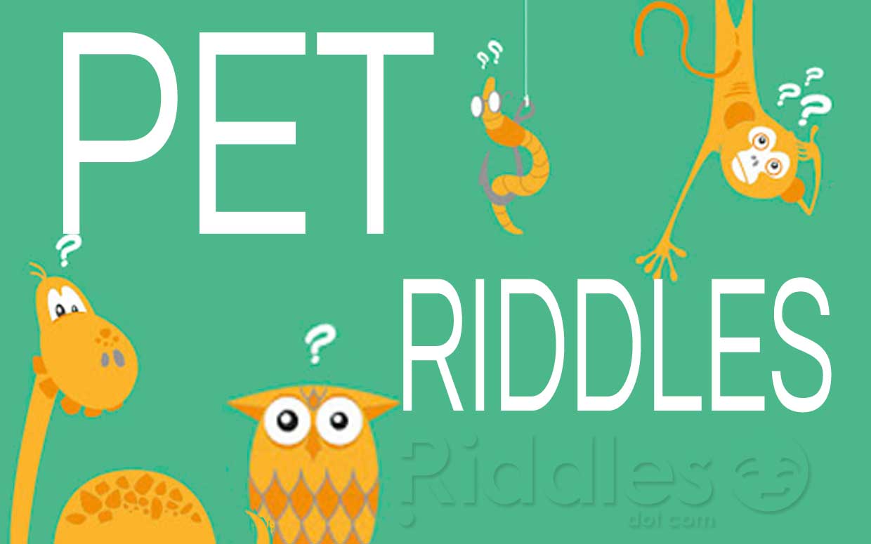 List of Pet Riddles with Answers 