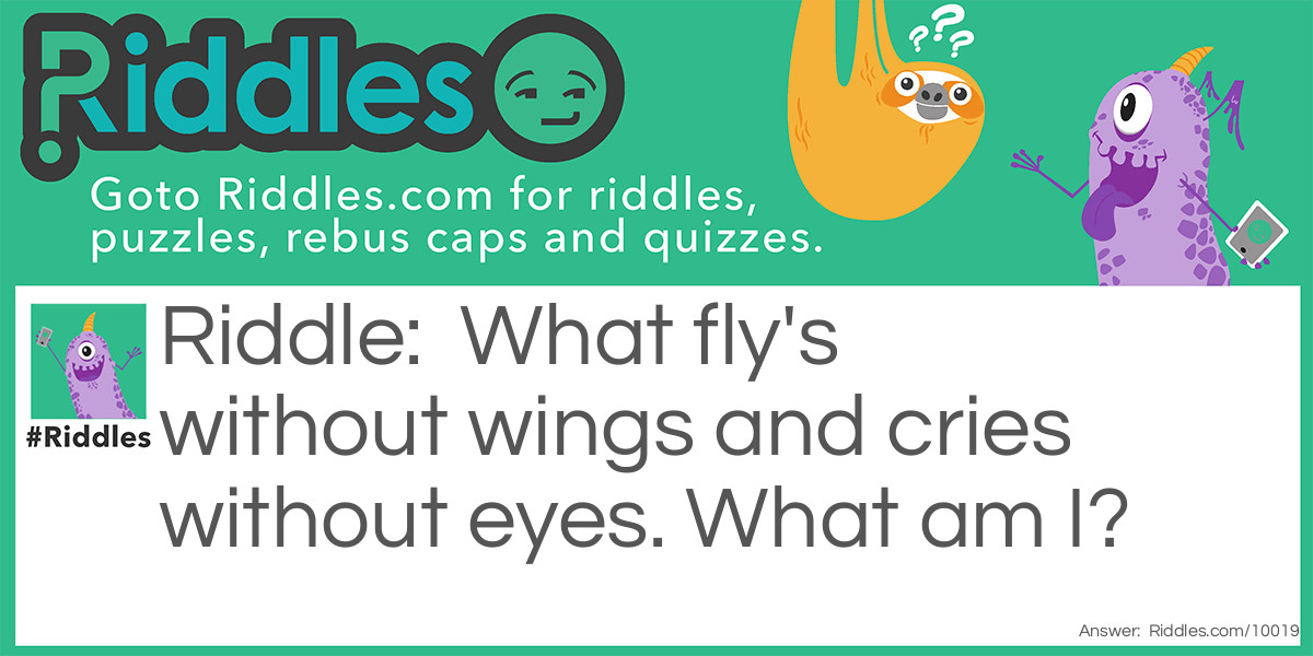 What fly's without wings and cries without eyes. What am I?