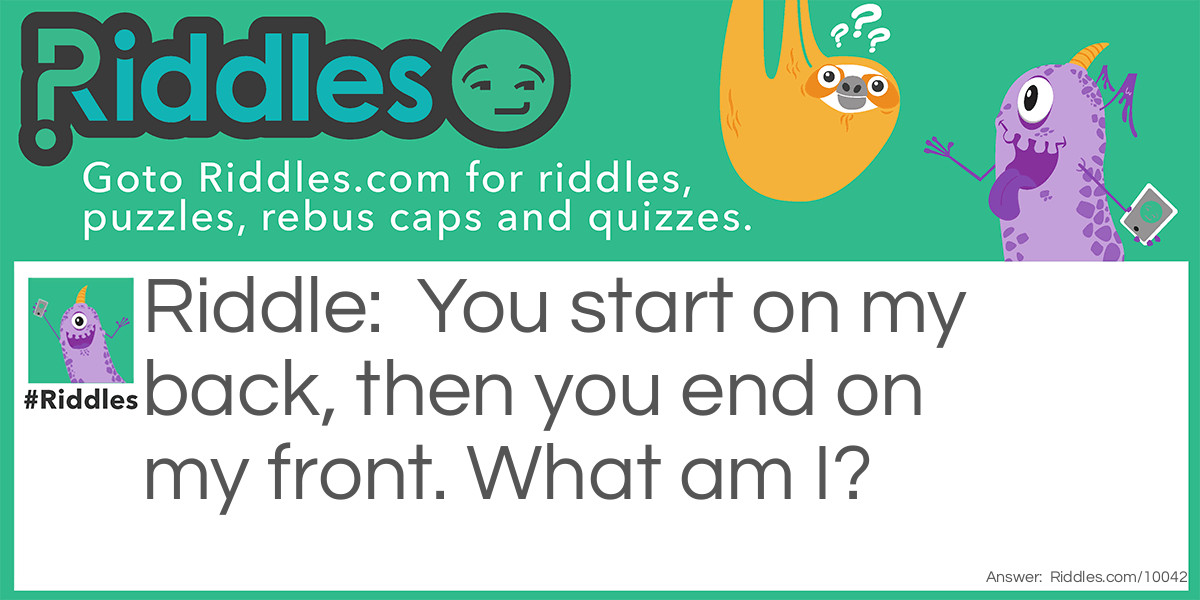 You start on my back, then you end on my front. What am I?