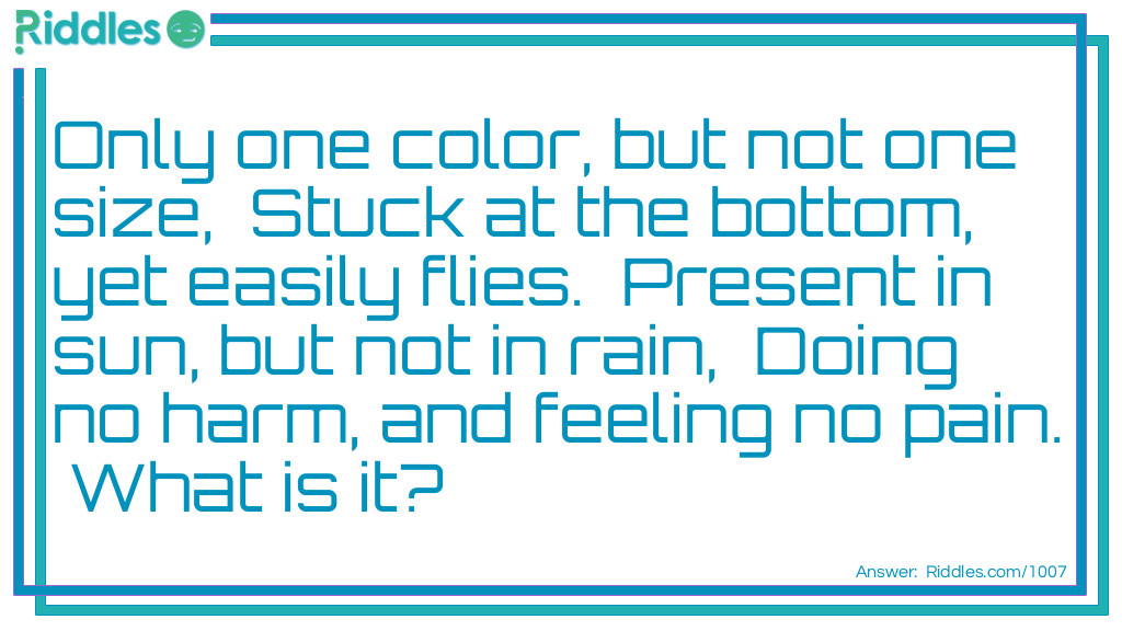 Only one color, but not one size, Riddle Meme.