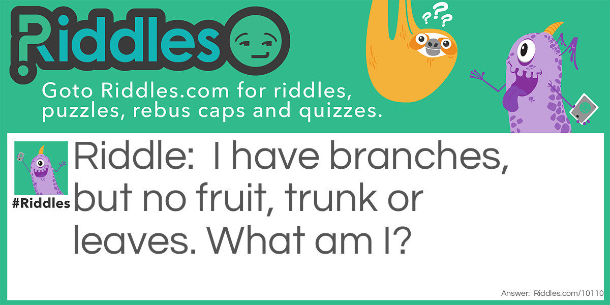 I have branches, but no fruit, trunk or leaves Riddle Meme.