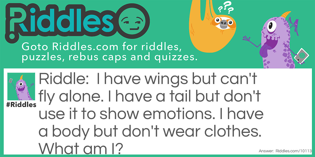 I have wings but can't fly alone. I have a tail but don't use it to show emotions. I have a body but don't wear clothes. What am I?