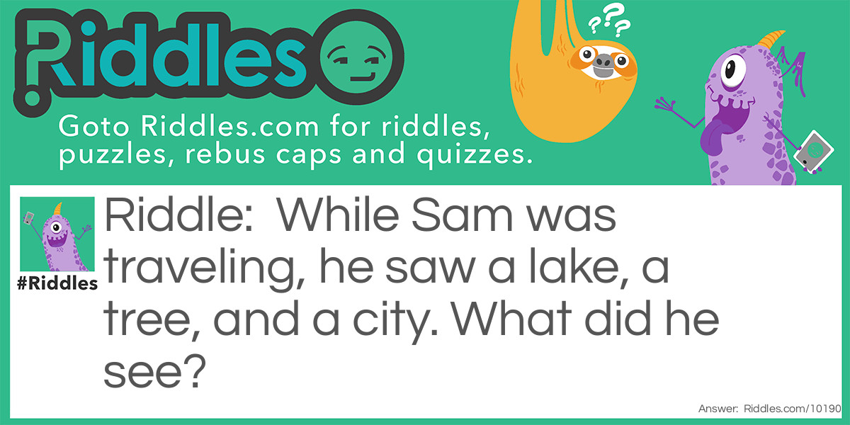 While Sam was traveling, he saw a lake, a tree, and a city. What did he see?