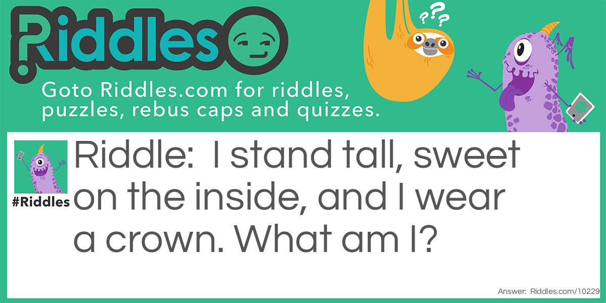 I stand tall, sweet on the inside, and I wear a crown. What am I?