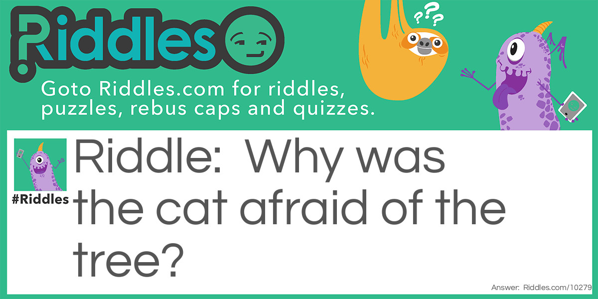 More Cats Riddle Meme.