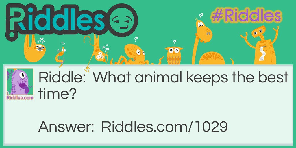 What animal keeps the best time?