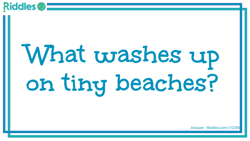 What washes up on tiny beaches?