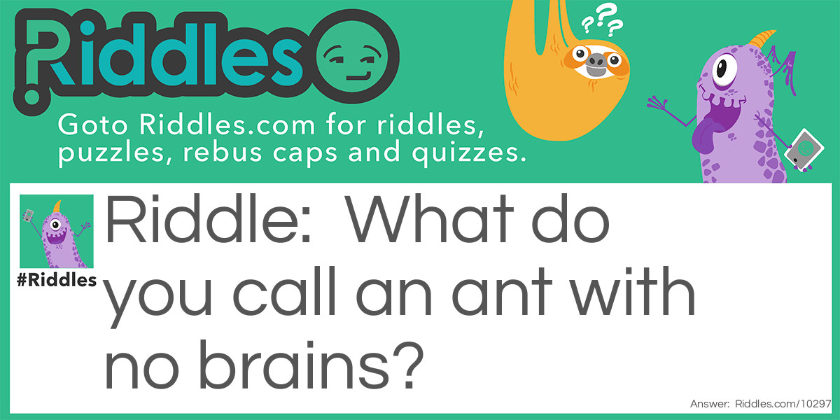 The ant with no brains. Riddle Meme.