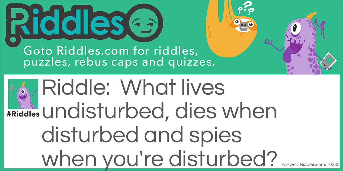 What lives undisturbed, dies when disturbed and spies when you're disturbed?