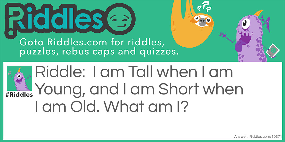 I am Tall when I am Young, and I am Short when I am Old. What am I?