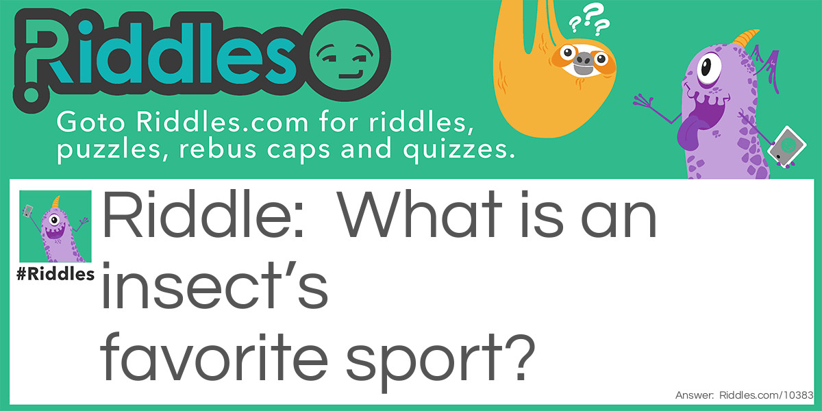 What is an insect’s favorite sport?