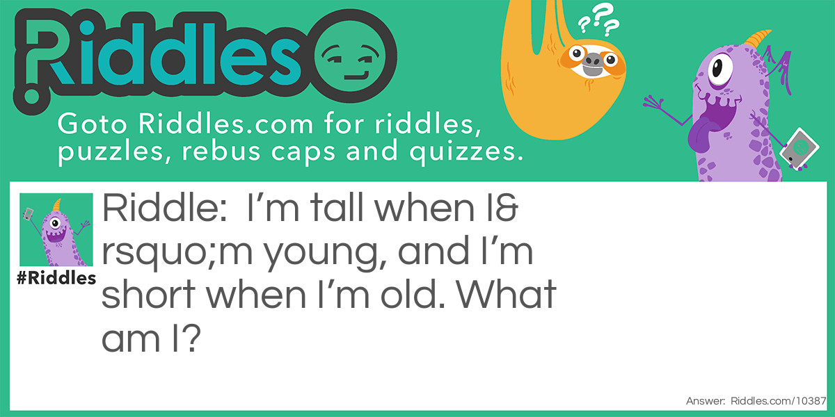 I’m tall when I’m young, and I’m short when I’m old. What am I?