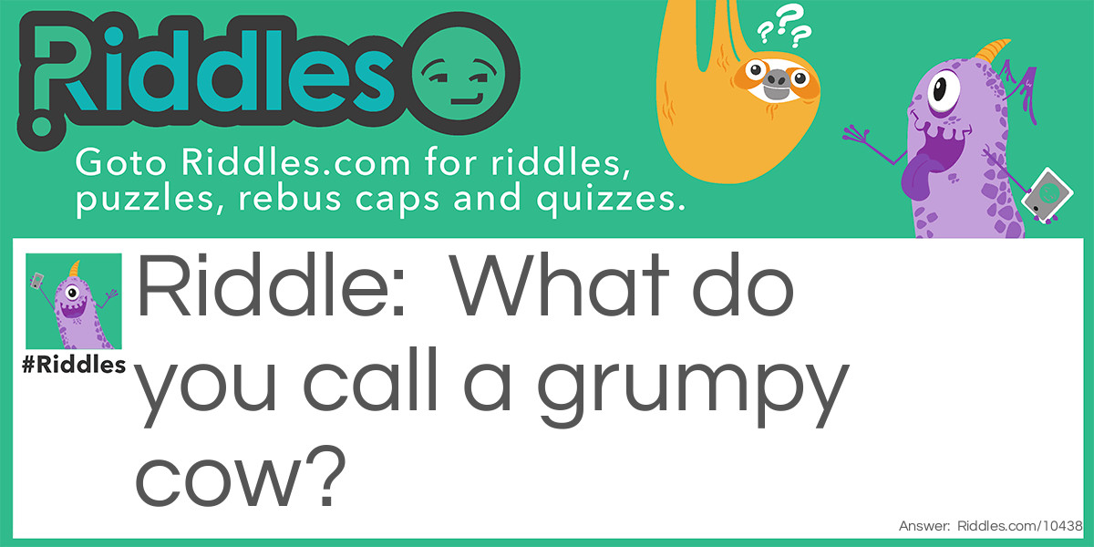 Riddle: What do you call a grumpy cow? Answer: MOO-DY.
