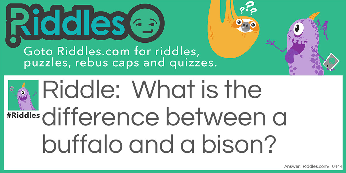 Riddle: What is the difference between a buffalo and a bison? Answer: You cannot wash hands in a buffalo.