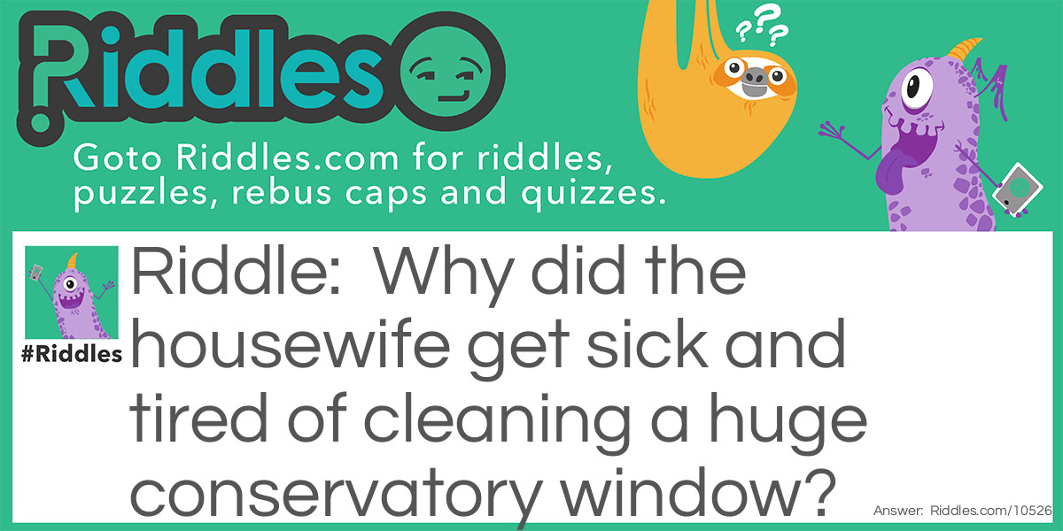 Why did the housewife get sick and tired of cleaning a huge conservatory window?