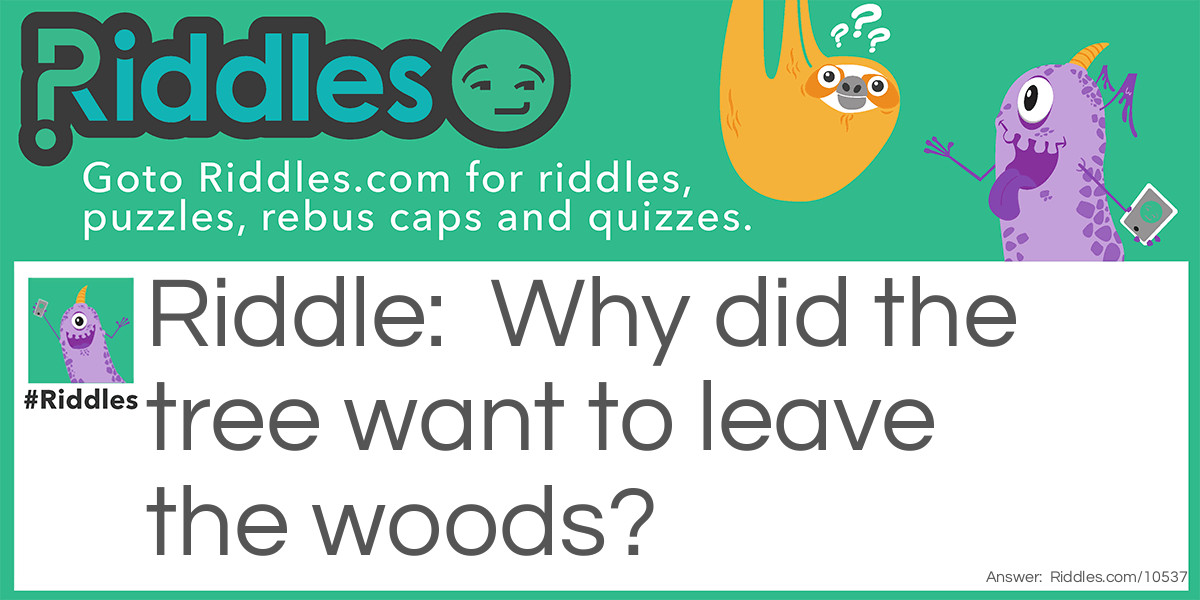 The woods. Riddle Meme.