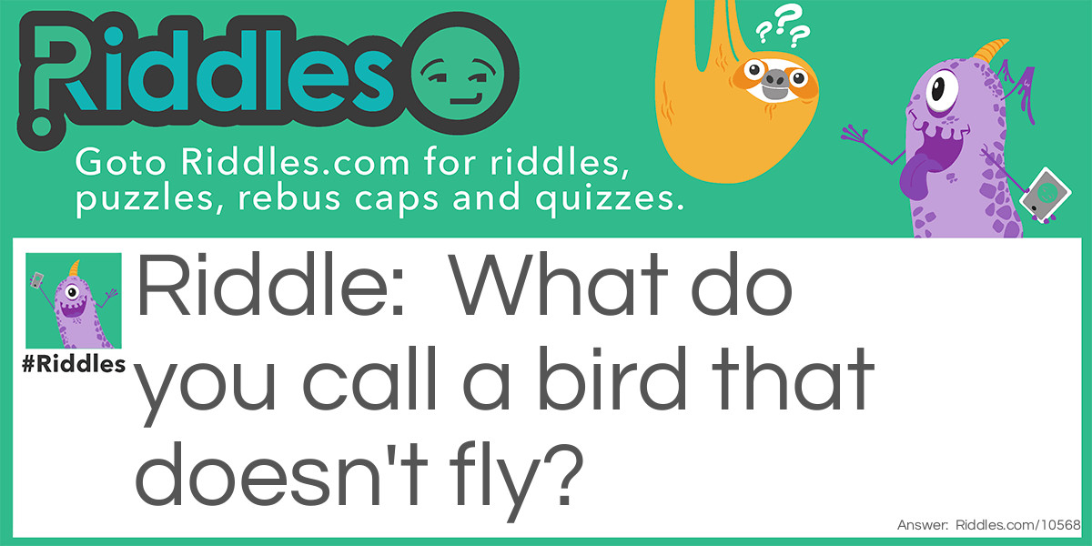 What do you call a bird that doesn't fly?